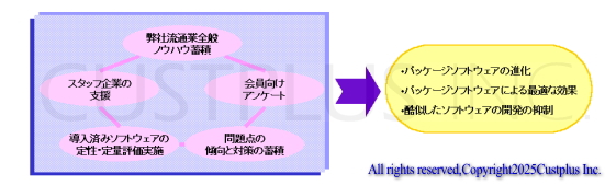 ノウハウ蓄積/パッケージソフトウエアの評価/問題課題の把握/無駄の排除